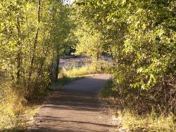 Autumn Path