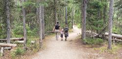 Trail along String Lake from Leigh Lake portage courtesy of endovereric↗