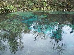 The north springs at Ichetucknee Springs State Park courtesy of Ebyabe&nearr; (CC BY-SA 2.5&nearr;)