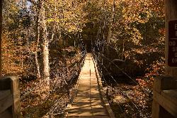 A suspension footbridge over the Eno River courtesy of Larry Lamb&nearr; (CC BY-SA 3.0&nearr;)