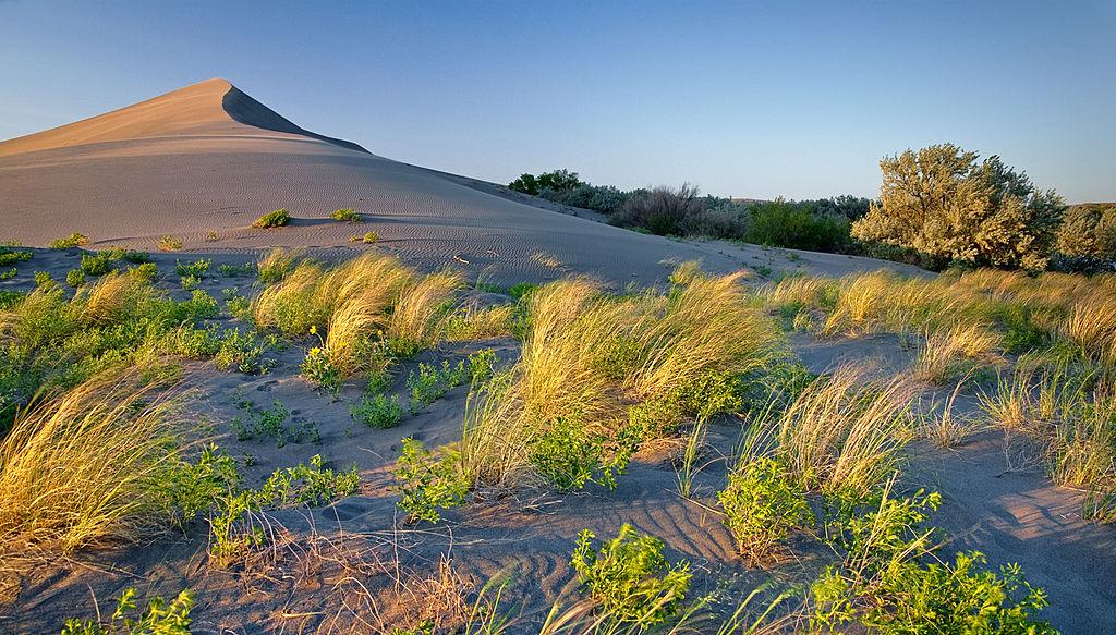 Golden Hour Bruneau Sand Dunes courtesy of Charles Knowles↗ Golden Hour Bruneau Sand Dunes courtesy of Charles Knowles↗