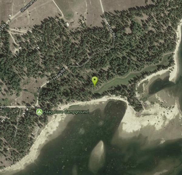 Haag Cove Campground Camp near Kettle Falls, Washington Free Arenas