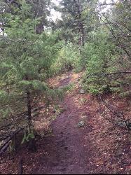 Camp, Hike, and Horseback at Pine Butte / The Caldera near St. Anthony, Idaho. Maps, directions, and reviews. This is about as close to an oasis as you can get in the deserts of Idaho. It's an old volcano in the middle of the... (image: Trail Up and Out)