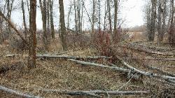Paintball field courtesy of endovereric&nearr;