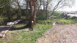 Campsite courtesy of endovereric&nearr;
