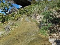Hike and Swim at Little Jamaica aka Desert Springs near Littlefield, Arizona. Maps, directions, and reviews. Little Jamaica is a warm springs waterfall and pool just off the highway between Desert Springs and Littlefield,... (image: Finding the falls)