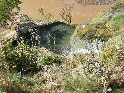 Hike and Swim at Little Jamaica aka Desert Springs near Littlefield, Arizona. Maps, directions, and reviews. Little Jamaica is a warm springs waterfall and pool just off the highway between Desert Springs and Littlefield,... (image: Looking down on the pool)