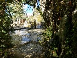 Hike and Swim at Little Jamaica aka Desert Springs near Littlefield, Arizona. Maps, directions, and reviews. Little Jamaica is a warm springs waterfall and pool just off the highway between Desert Springs and Littlefield,... (image: Beyond the pool)