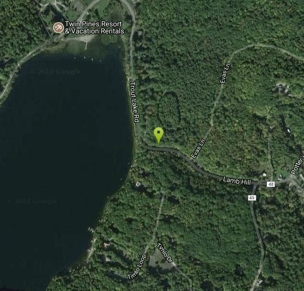 Trout Lake Swim near Diamond Point, New York Free Arenas