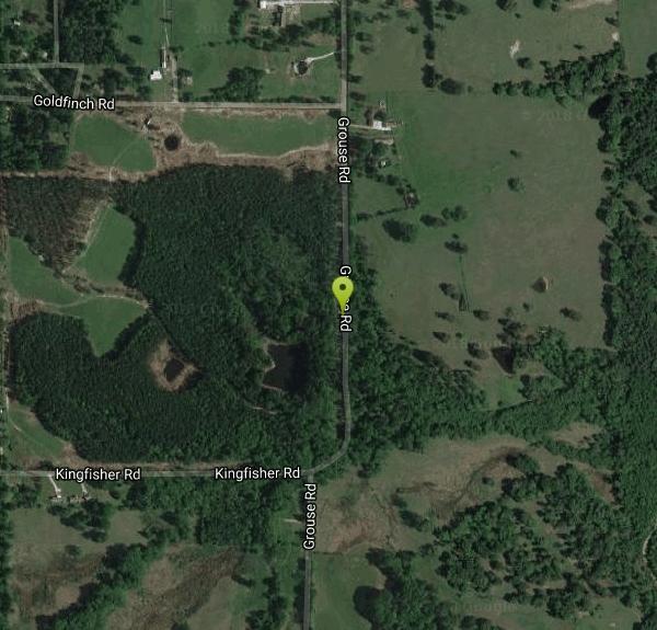 Gilmer Pond Swim near Gilmer, Texas Free Arenas