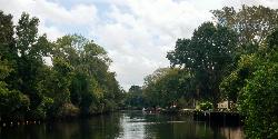 Near by Three Sisters Spring at Crystal River - panoramio