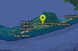 Ramrod Key Park Swim near Summerland Key, Florida Free Arenas