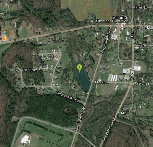 Cave Spring Swim near Cave Spring, Free Arenas