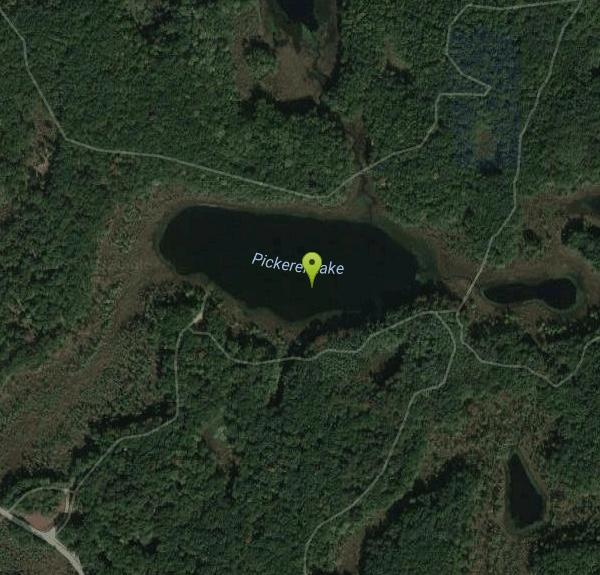 Pickerel Lake Swim near Dexter, Michigan Free Arenas