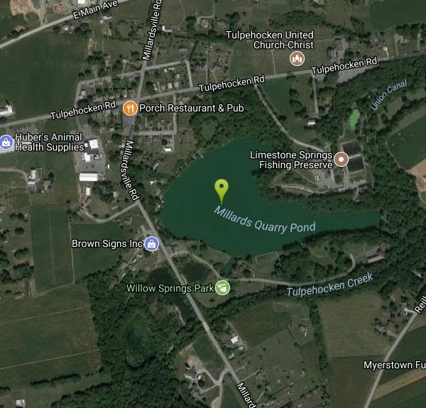 Willow Springs Park Swim near Myerstown, Pennsylvania Free Arenas