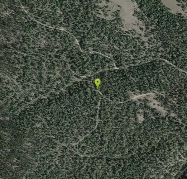 Wall Creek Hot Springs Hot Springs near Riley, Oregon Free Arenas