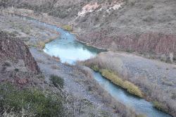 Verde River courtesy of Greg Walters↗