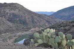 Verde River courtesy of Greg Walters↗