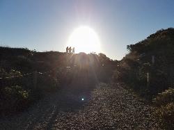 Trail