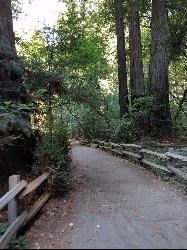 Main Trail