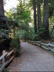 Main Trail
