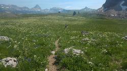 Alaska Basin Trail  by Stephen Brown