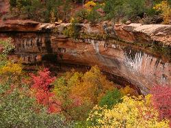 Fall Colors At Lower Emerald Pool