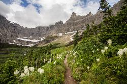 Backpack, Camp, and Hike at Iceberg Lake near Many Glacier, Glacier National Park. Maps, directions, and reviews. A pleasant trip into Glacier National Park, coming out to be about 9 miles round trip. The lake sits at the basin... (image: Iceberg Lake Trail by David Restivo)