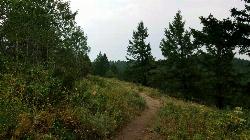 Hike and Mountain Bike at Buckskin Morgan Ridge near Ririe, Idaho. Maps, directions, and reviews. Going up is a little tough because of the rocks, but once you clear the top it is a twisty down hill portion [until] you get... (image: 20170807 670429002)
