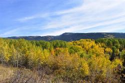  courtesy of Anna Kirkpatrick↗