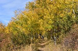  courtesy of Anna Kirkpatrick↗