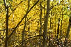  courtesy of Anna Kirkpatrick↗