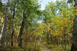  courtesy of Anna Kirkpatrick↗