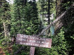 Hike and Mountain Bike at Box Canyon Trail near Island Park, Idaho. Maps, directions, and reviews. Various species of tress and wildflowers can be seen on the trail, as well as songbirds, waterfowl and occasional wildlife. The... (image:  courtesy of Robyn Larsen↗)