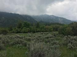 Bells Canyon Greenery added by smbrady17