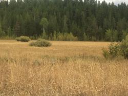 Camp and Swim at Porcupine Creek near Ashton, Idaho. Maps, directions, and reviews. Porcupine Creek is a hunting, fishing, camping, and swimming spot near Ashton, Idaho in Fremont County within Targhee National Forest. ... (image: Meadow area added by kworthen)