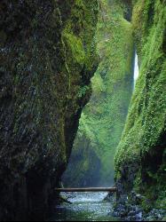 Oneonta Gorge courtesy of Sarah McDevitt↗
