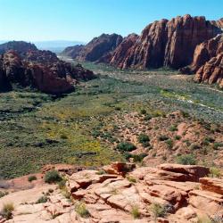 Snow Canyon State park from the Butterfly trail courtesy of Red Mountain Resort↗