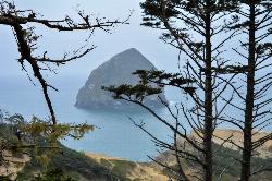 At the top of the Great Dune by Kate Locke