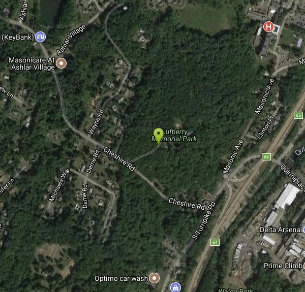 Flying Ace at Lufberry Park Disc Golf near Wallingford, Connecticut