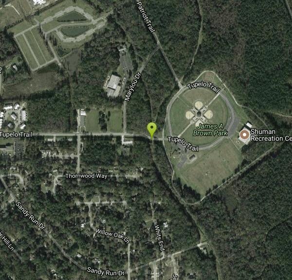 The Eagles Nest at James Brown Park Disc Golf near Hinesville