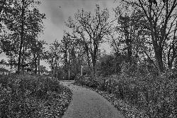 Walkway through the woods at Bandemer Park courtesy of Chris Rycroft&nearr; (CC BY 2.0&nearr;)
