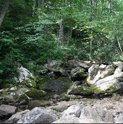 Hike and Mountain Bike at Farlow Gap near Canton, North Carolina. Maps, directions, and reviews. This is one of the most technical downhills in Pisgah: very steep and rocky! The trail drops about 2000 ft in 3 miles then connects... (image: Pisgah National Forest Creek Running Across Farlow Gap Trail1 courtesy of LithiumFlash↗)