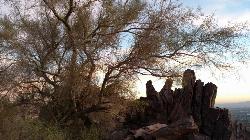 Hike at Piestewa Peak Summit Trail #300 near Phoenix, Arizona. Maps, directions, and reviews. Some people still refer to the Peak by its original name of "Squaw Peak" before its name changed to "Piestewa Peak"... (image:  courtesy of leahmia↗)