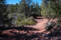 Fossil Springs Trail No. 18 courtesy of Deborah Lee Soltesz of USFS Coconino National Forest↗