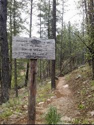 Horton Creek Trail Payson Arizona Panoramio 11 courtesy of davidpinter↗