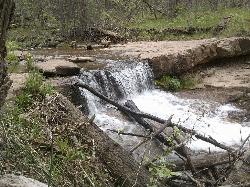 Horton Creek Trail Payson Arizona Panoramio 48 courtesy of davidpinter↗