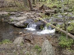 Horton Creek Trail Payson Arizona Panoramio 52 courtesy of davidpinter↗