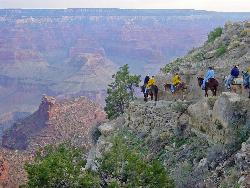 View from the South rim of Grand Canyon courtesy of Flickr↗