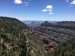 The stunning view from Widforss Trail added by nicole97
